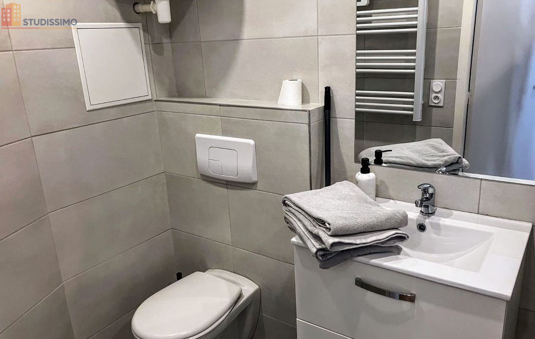 Studio meublé 20m² Saint-Étienne - Refait à neuf, proche place Jean Jaurès - Photo 3