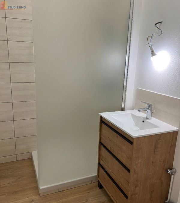 Studio 40m² Roanne 42300 - Lumineux, DPE C - Photo 6