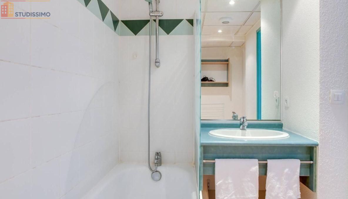 Studio meublé 20m² Saint-Étienne 42100 - Meublé, 1 pièce - Photo 17