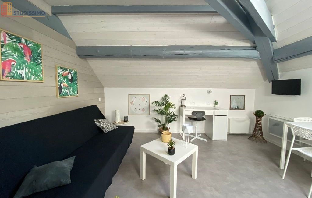 Studio 15m² Roanne - Dernier étage, lumineux - Photo 28
