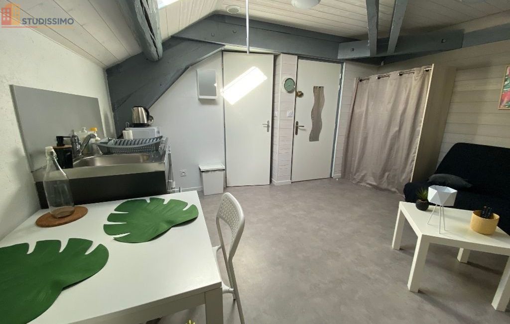 Studio 15m² Roanne - Dernier étage, lumineux - Photo 23