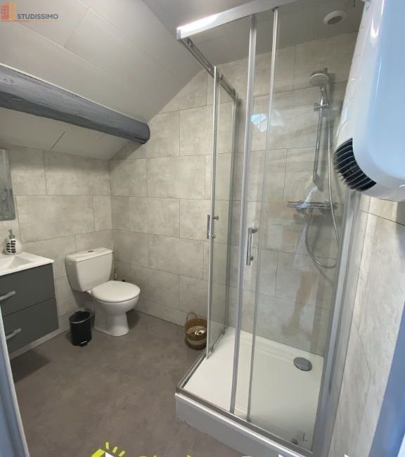 Studio 15m² Roanne - Dernier étage, lumineux - Photo 4