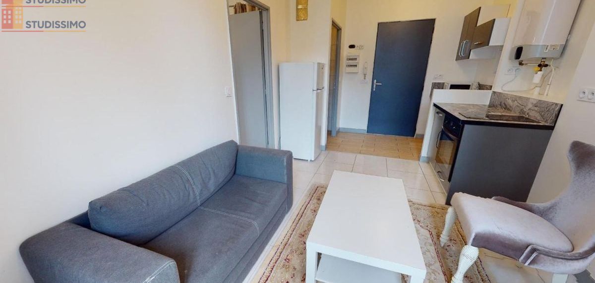 Studio meublé 30m² Saint-Étienne 42000 - Meublé, DPE D - Photo 28
