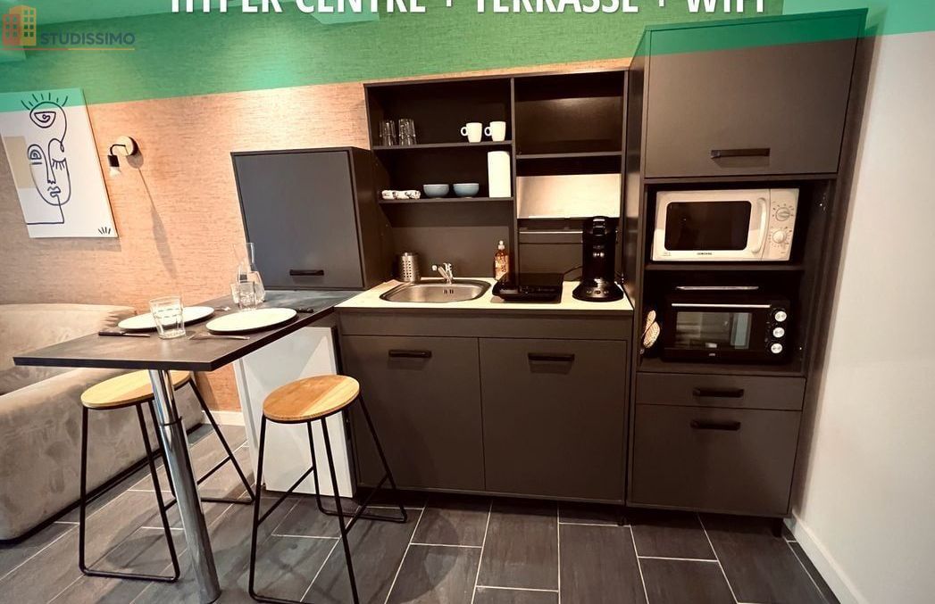Studio meublé 22m² Roanne centre - Terrasse, lumineux - Photo 27