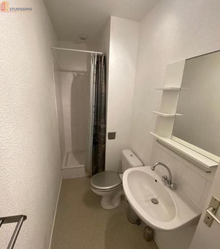 Studio meublé 20m² Saint-Étienne 42100 - Meublé - Photo 11