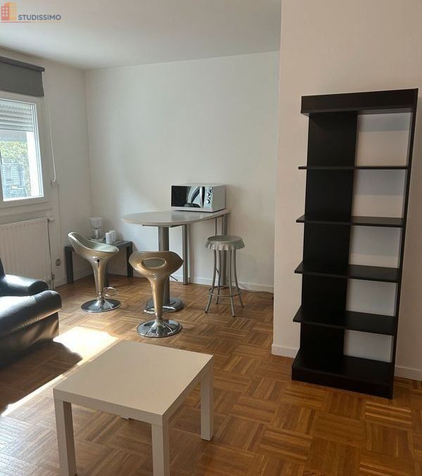 Studio 33m² Saint-Étienne 42100 - Meublé, lumineux - Photo 8