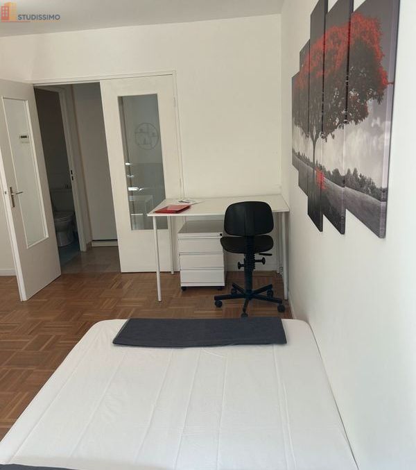 Studio 33m² Saint-Étienne 42100 - Meublé, lumineux - Photo 4