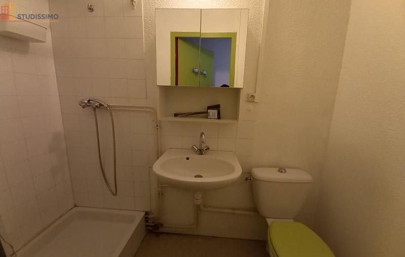 Studio meublé 24m² Saint-Étienne 42100 - Meublé, DPE D - Photo 10