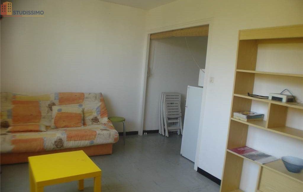 Studio meublé 28m² Saint-Étienne 42000 - Meublé, 1 pièce - Photo 26