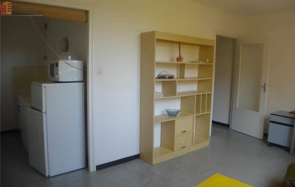 Studio meublé 28m² Saint-Étienne 42000 - Meublé, 1 pièce - Photo 24