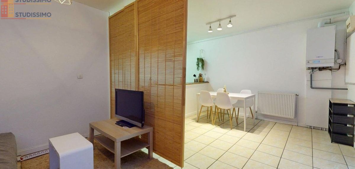 Studio meublé 31m² Saint-Étienne 42000 - Meublé, 1 pièce - Photo 124