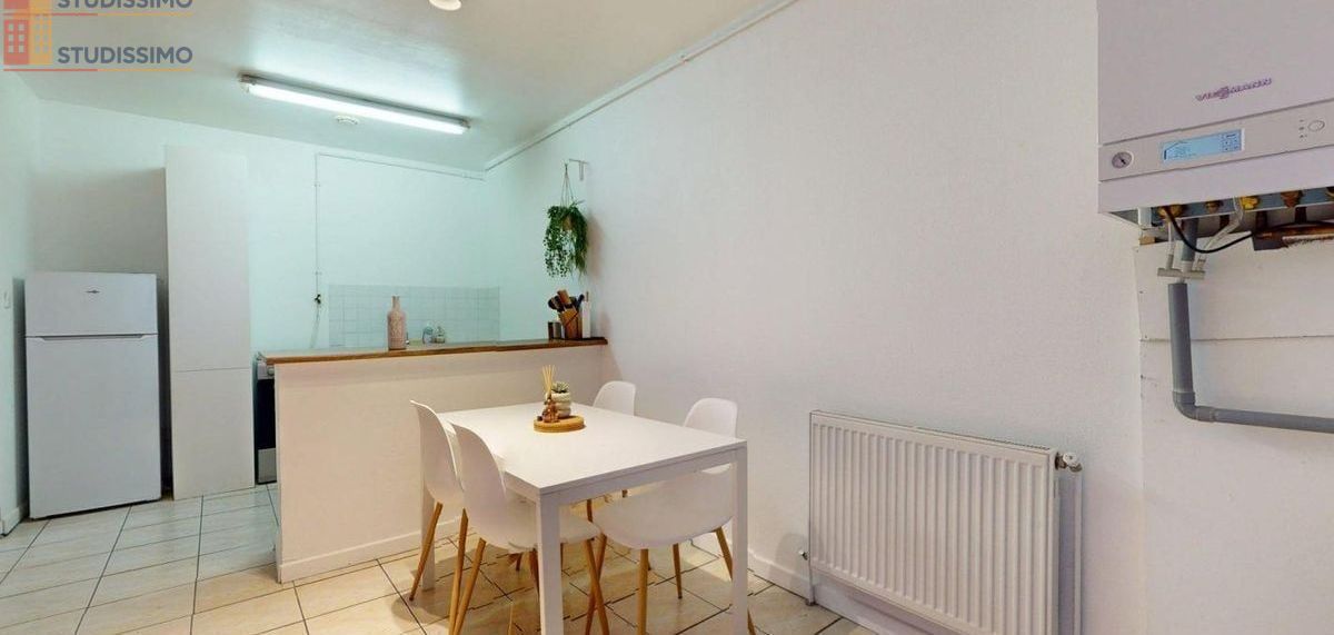 Studio meublé 31m² Saint-Étienne 42000 - Meublé, 1 pièce - Photo 125