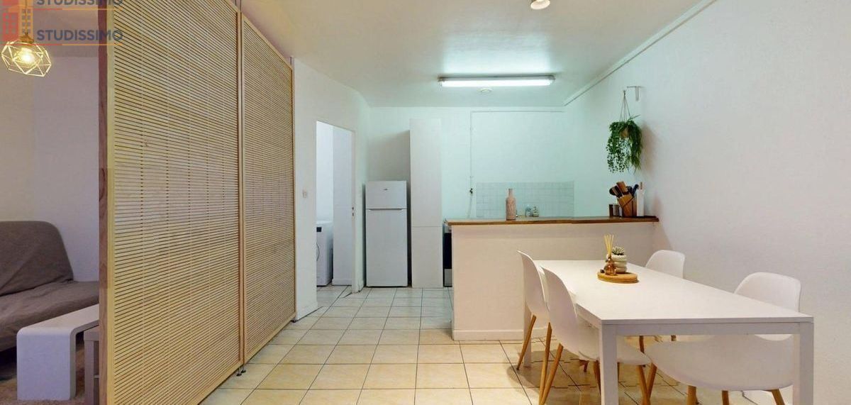 Studio meublé 31m² Saint-Étienne 42000 - Meublé, 1 pièce - Photo 97