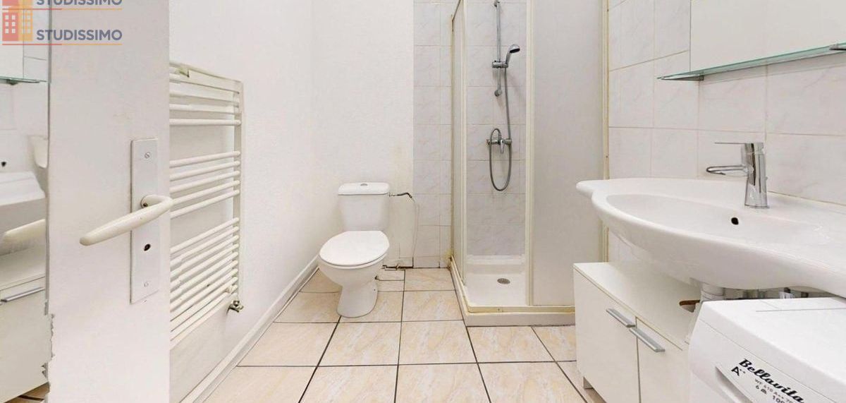 Studio meublé 31m² Saint-Étienne 42000 - Meublé, 1 pièce - Photo 49