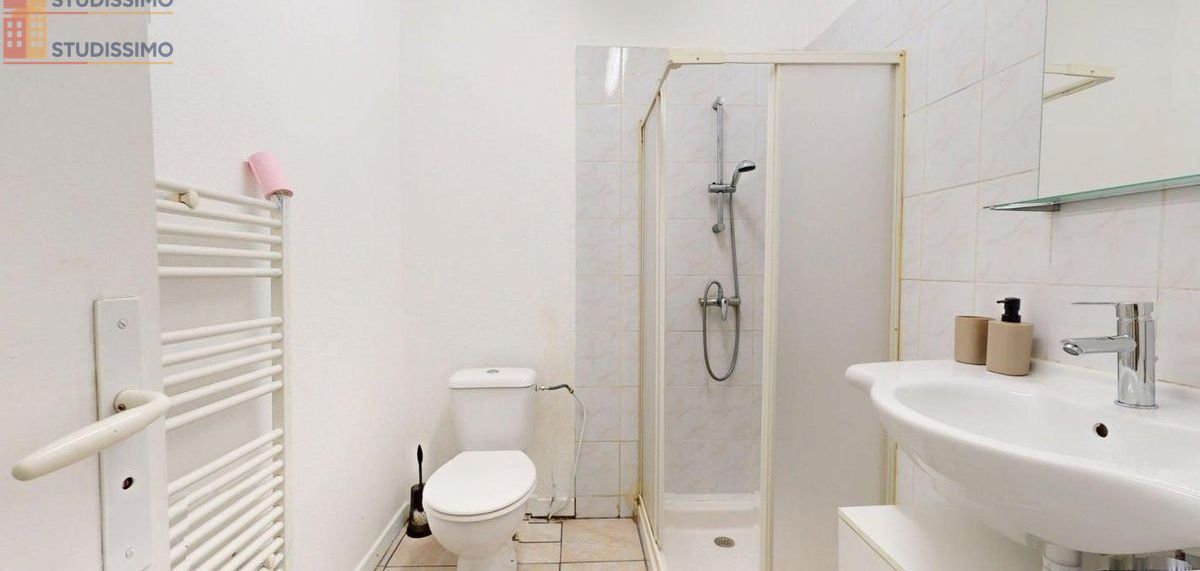 Studio meublé 31m² Saint-Étienne 42000 - Meublé, 1 pièce - Photo 54