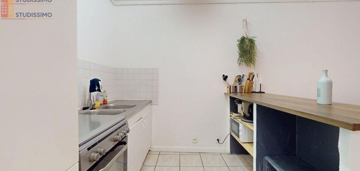 Studio meublé 31m² Saint-Étienne 42000 - Meublé, 1 pièce - Photo 32