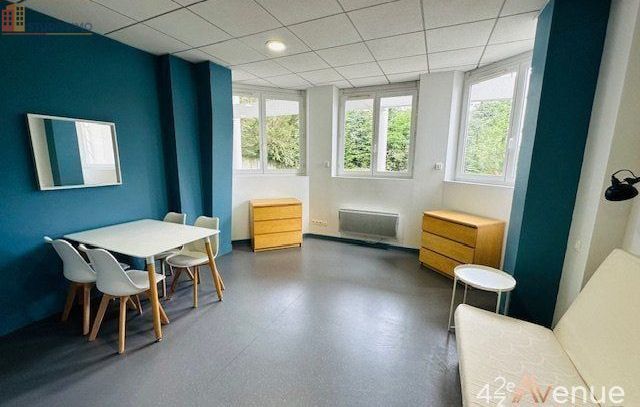Studio meublé 33m² Saint-Étienne - Meublé, DPE D - Photo 1