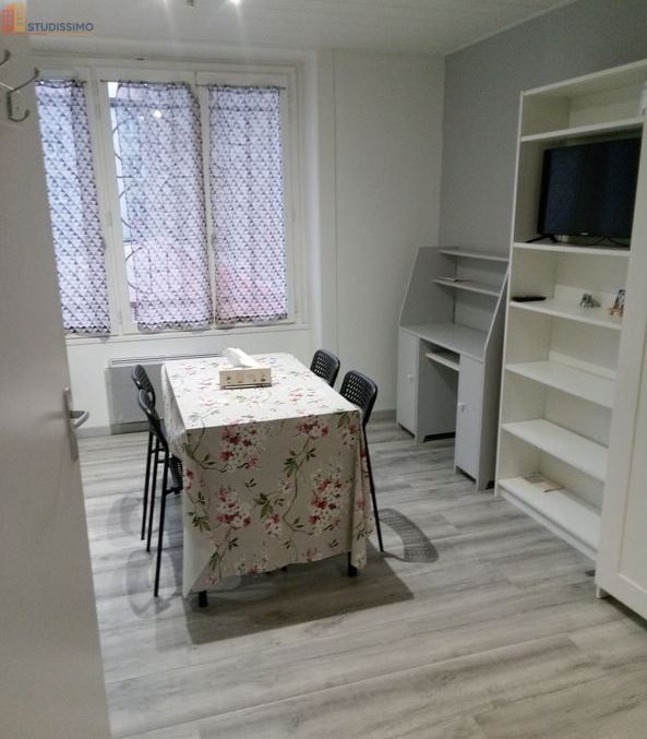 Studio 22m² Saint-Étienne 42100 - Meublé, calme - Photo 9
