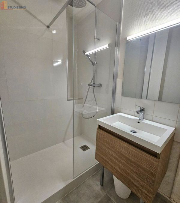 Studio meublé 20m² Saint-Étienne 42000 - Hypercentre, meublé - Photo 5