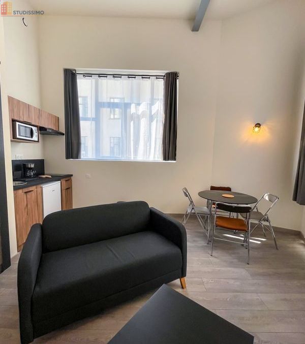Studio meublé 36m² Saint-Étienne 42100 - Meublé - Photo 16