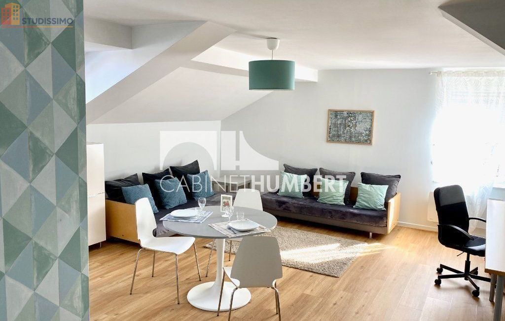 Studio 34m² Saint-Étienne - Meublé, dernier étage - Photo 25