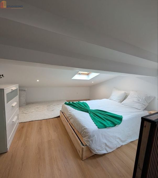 Studio meublé 35m² Saint-Étienne 42000 - Rénové, lumineux - Photo 3