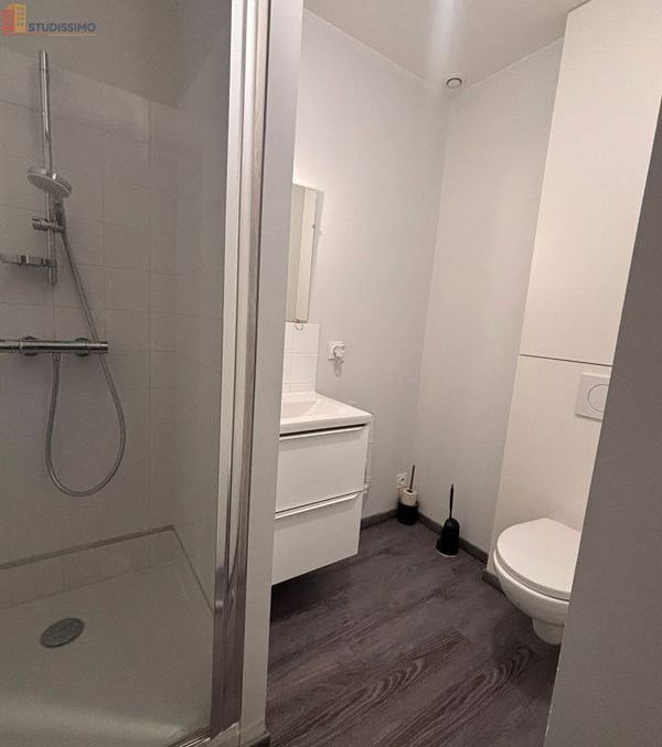 Studio meublé 30m² Saint-Étienne 42000 - Meublé, DPE D - Photo 21