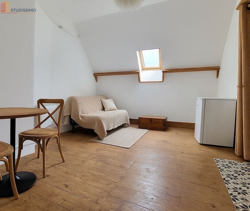 Studio meublé 21m² Saint-Étienne centre - Atypique, lumineux - Photo 20