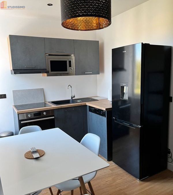 Studio meublé 26m² Saint-Étienne 42100 - Proche Tréfilerie - Photo 21