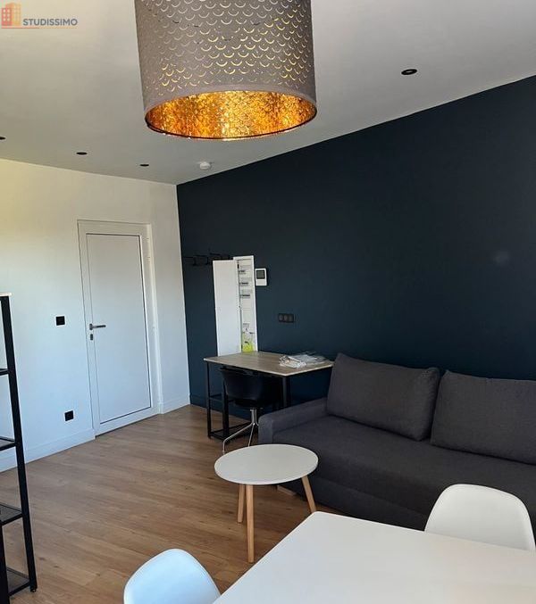 Studio meublé 26m² Saint-Étienne 42100 - Proche Tréfilerie - Photo 17