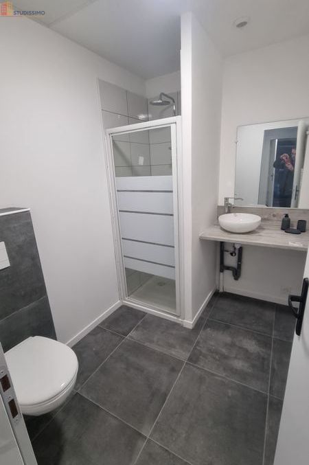 Studio meublé 29m² Saint-Étienne 42000 - Meublé, DPE C - Photo 5
