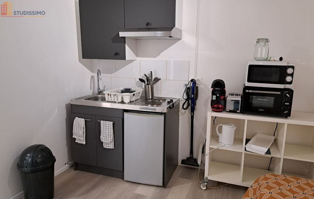 Studio meublé 25m² Montbrison - Terrasse privative, centre-ville - Photo 33