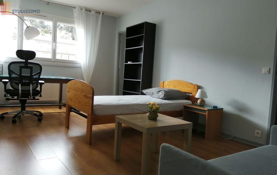 Studio meublé 33m² Saint-Étienne 42000 - Lumineux, dernier étage - Photo 4