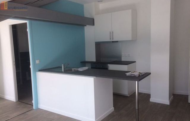 Studio 34m² Saint-Étienne 42100 - Rénové, proche cours Fauriel - Photo 17