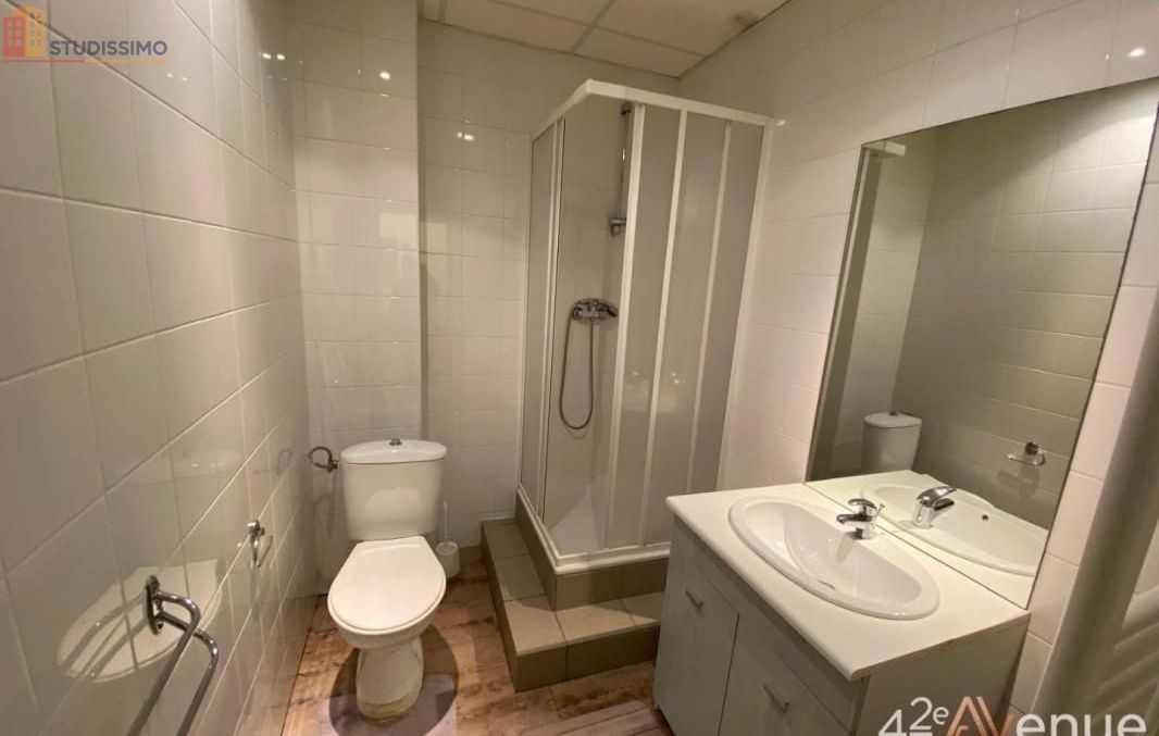 Studio 37m² Saint-Étienne 42000 - Meublé, lumineux - Photo 24
