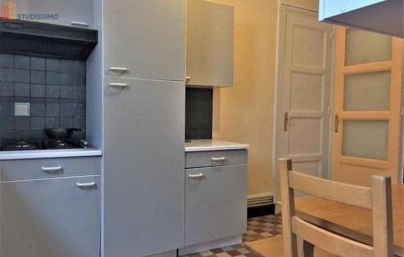 Studio 33m² Saint-Étienne 42100 - Meublé, 2e étage - Photo 6