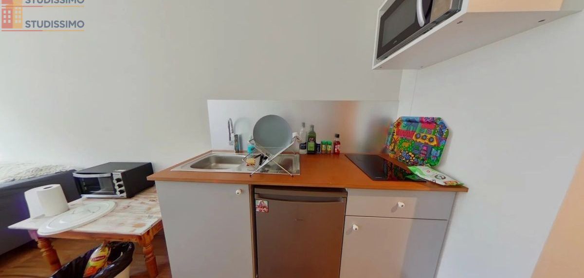 Studio meublé 29m² Saint-Étienne - Meublé, 1er étage - Photo 34