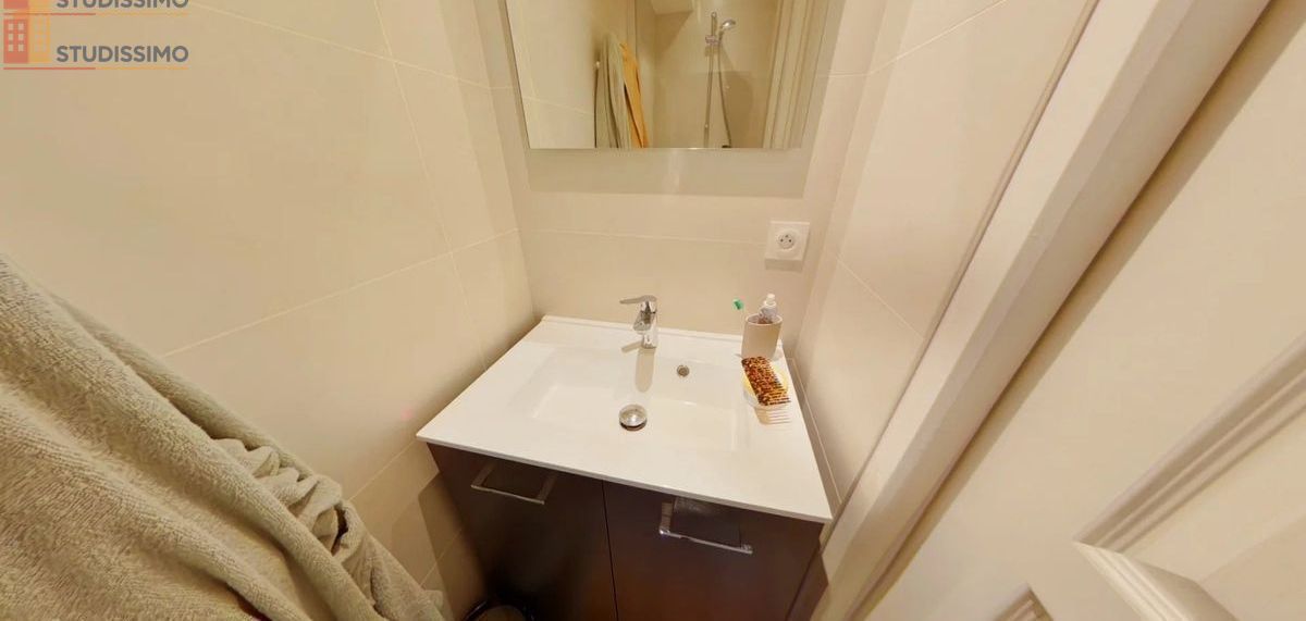 Studio meublé 29m² Saint-Étienne - Meublé, 1er étage - Photo 17