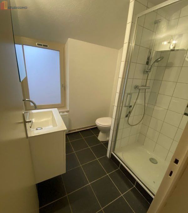 Studio 35m² Montbrison - Étage élevé, DPE D - Photo 22