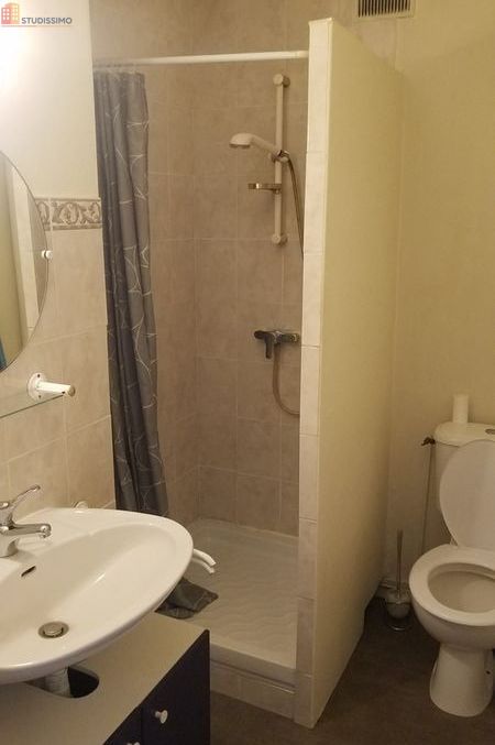 Studio meublé 26m² Saint-Étienne 42100 - Proche Portail-Rouge - Photo 8