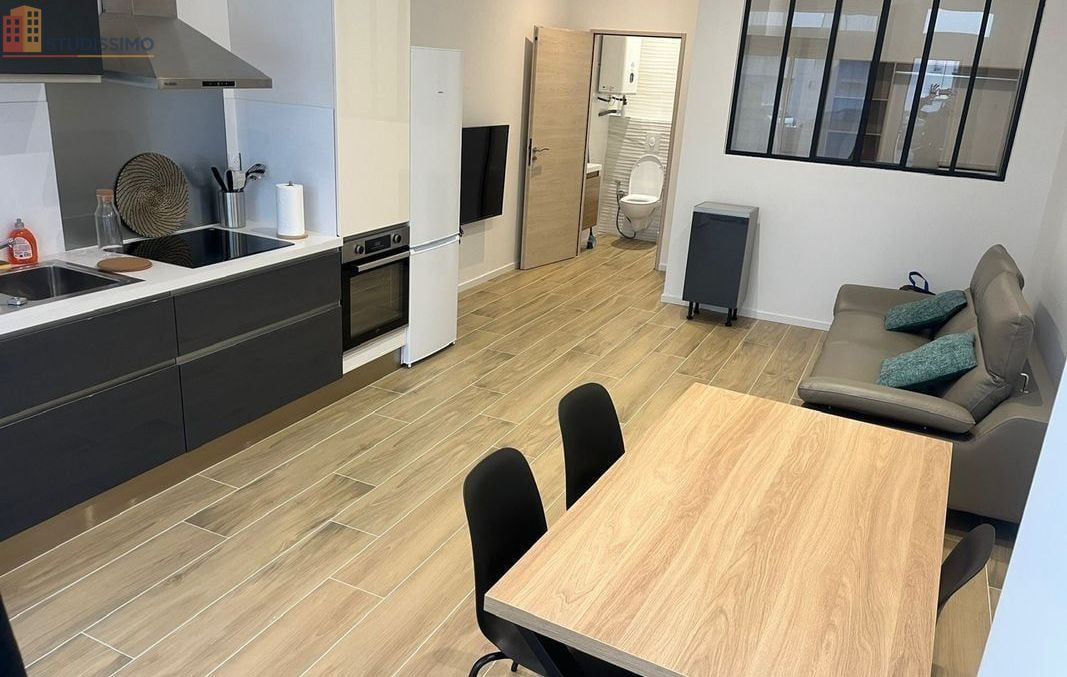 Studio 38m² Saint-Étienne - Meublé, DPE C - Photo 30