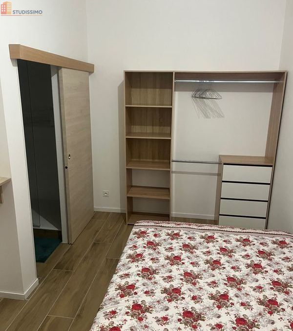 Studio 38m² Saint-Étienne - Meublé, DPE C - Photo 18