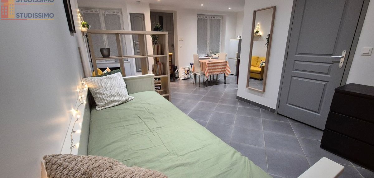 Studio 30m² Saint-Étienne 42100 - Meublé, rénové - Photo 19