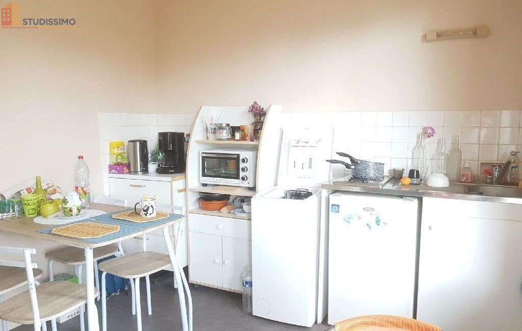Studio meublé 32m² Roanne - Proche IUT et hôpital - Photo 49