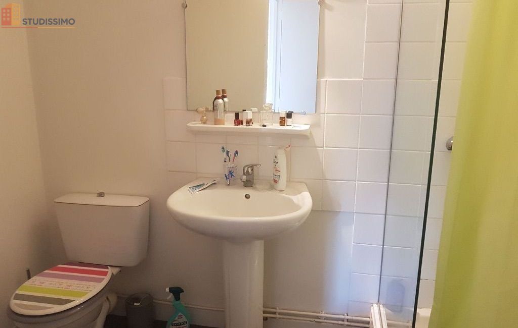 Studio meublé 32m² Roanne - Proche IUT et hôpital - Photo 46