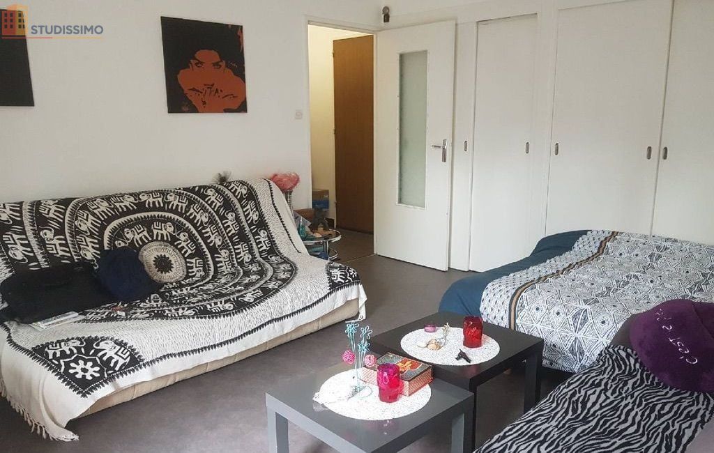 Studio meublé 32m² Roanne - Proche IUT et hôpital - Photo 18