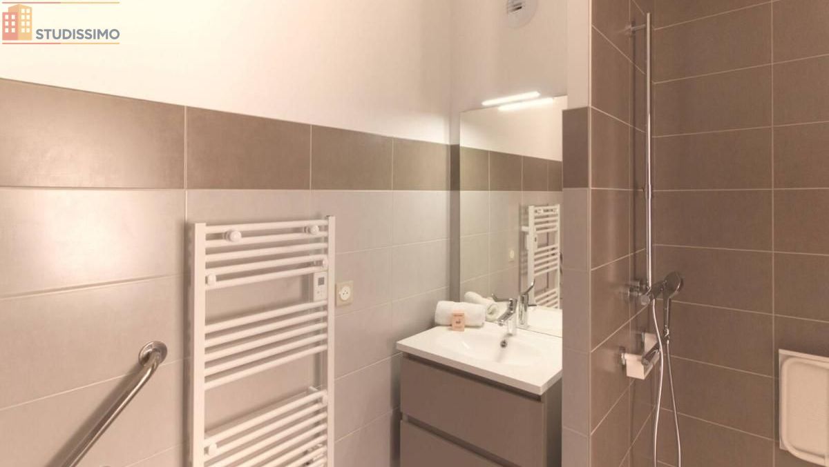 Studio meublé 20m² Andrézieux-Bouthéon - Meublé, 1 pièce - Photo 16