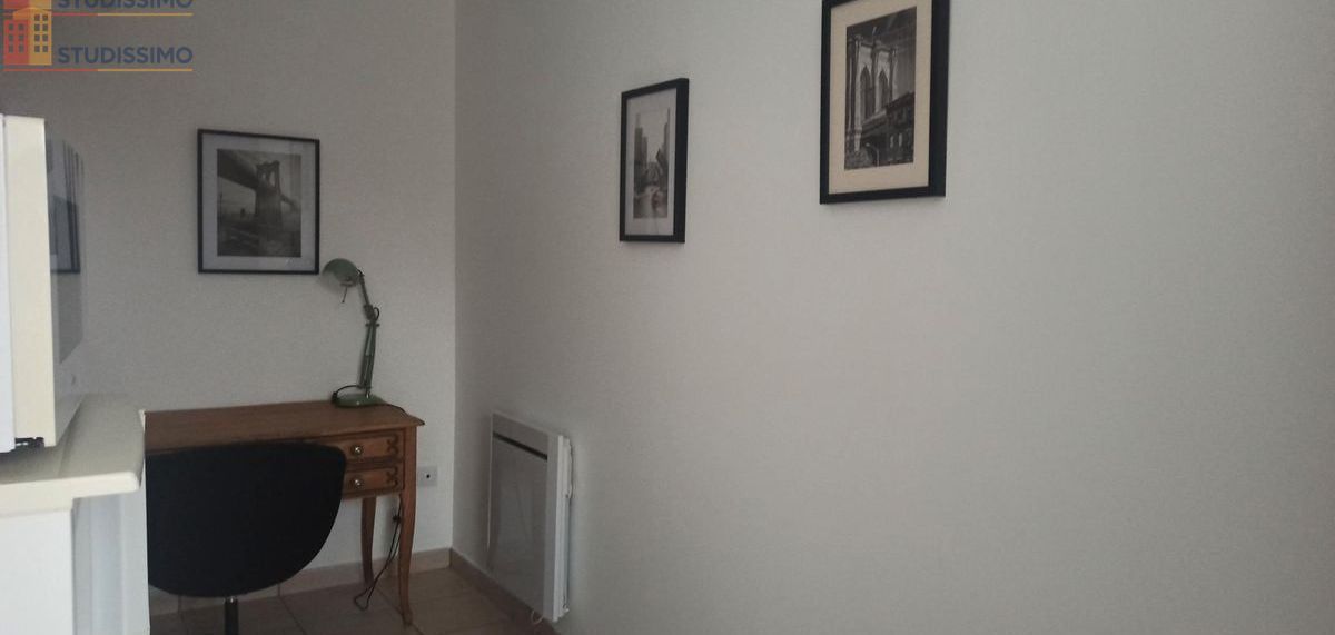 Studio 23m² Saint-Étienne 42100 - Meublé, lumineux - Photo 2
