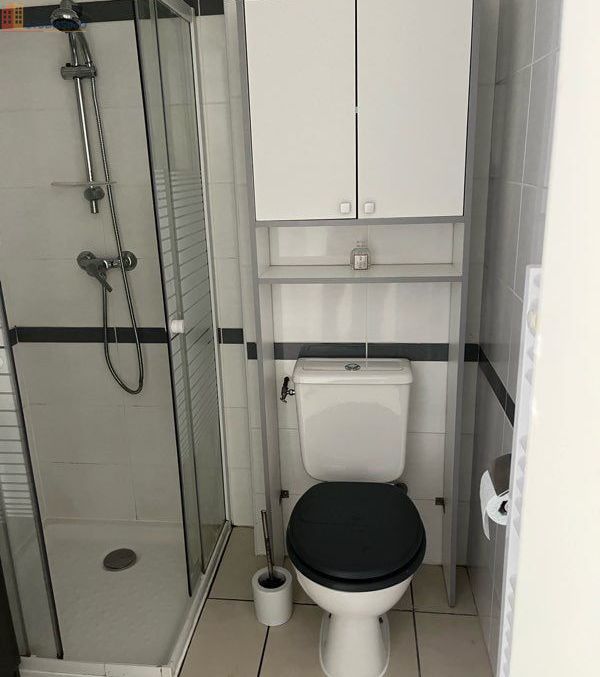 Studio 24m² Saint-Étienne 42100 - Duplex, lumineux - Photo 1