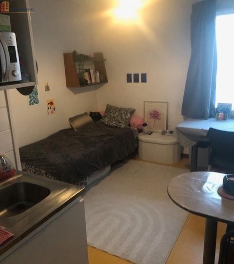 Studio meublé 19m² Saint-Étienne 42100 - Meublé, DPE C - Photo 4